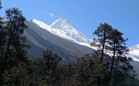 Soaring Secrets to Manaslu Hiking That Will Energize You