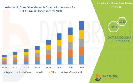 Asia-Pacific Bone Glue Market Size, Share, Trends, Industry Growth and Competitive Outlook