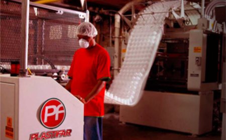 Exploring the Full Range of Plastifar Disposable Tableware and Packaging