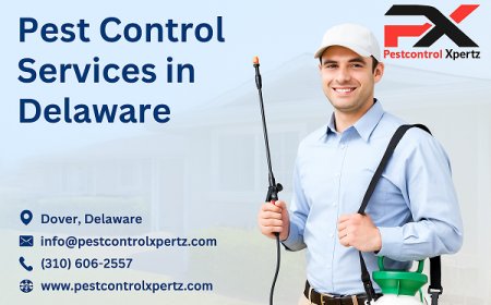 Expert Pest Control in Glasgow for Apartments and Flats