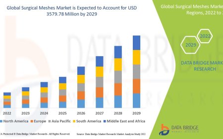 Surgical Meshes Market Size, Share, Trends, Demand, Growth and Competitive Analysis