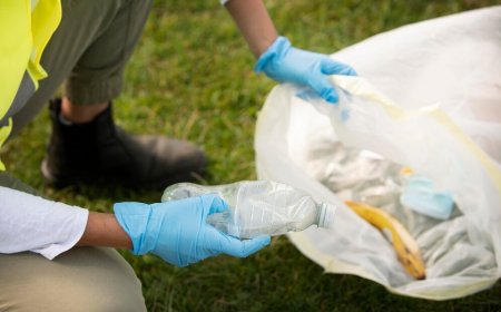 From Toxic to Safe: The High-Tech Future of Hazardous Waste Collection