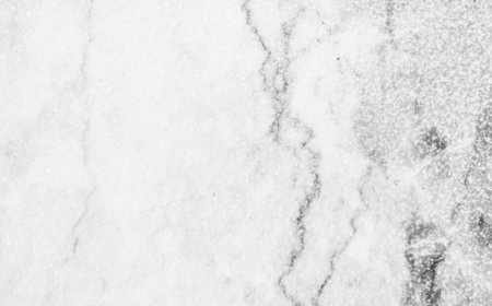 Luxury Meets Nature: How Green Marble Complements Classic Black & White Marble Designs By Petros Stone LLP