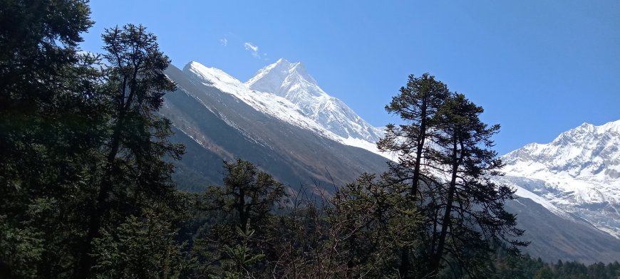 Soaring Secrets to Manaslu Hiking That Will Energize You