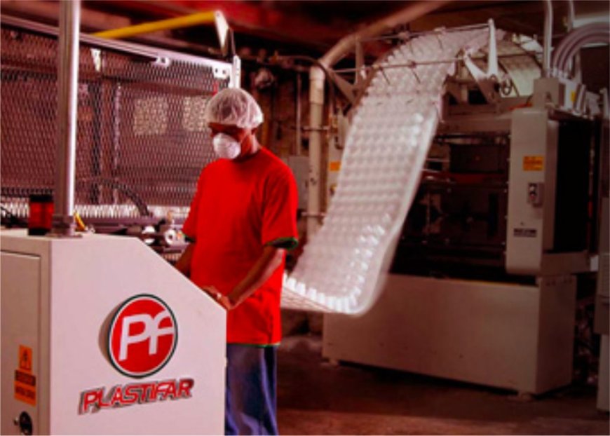 Exploring the Full Range of Plastifar Disposable Tableware and Packaging