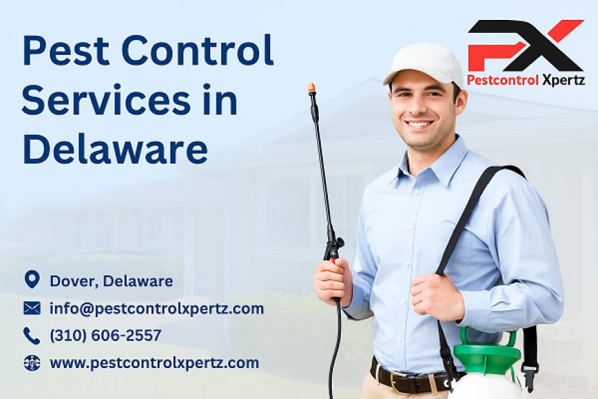 Expert Pest Control in Glasgow for Apartments and Flats