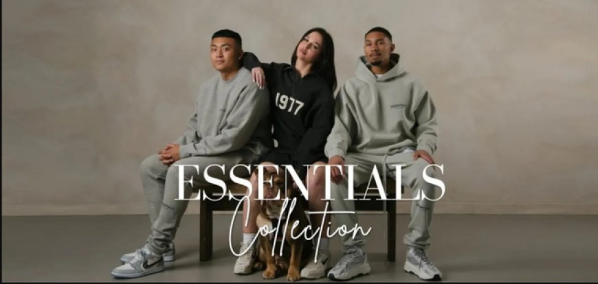 Essential Hoodie for Travel: Comfort Meets Functionality