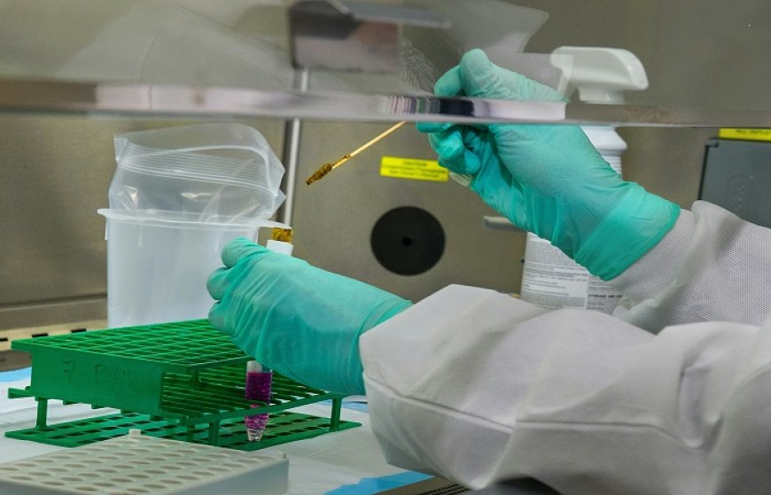 Exploring the Potential of Plant-Derived Exosomes in Biotechnology