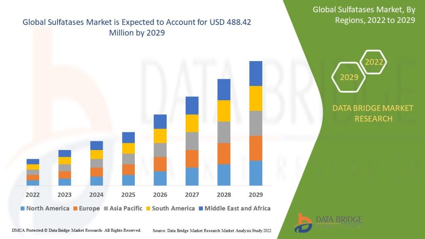Sulfatases Market Size, Share, Trends, Demand, Growth and Competitive Outlook