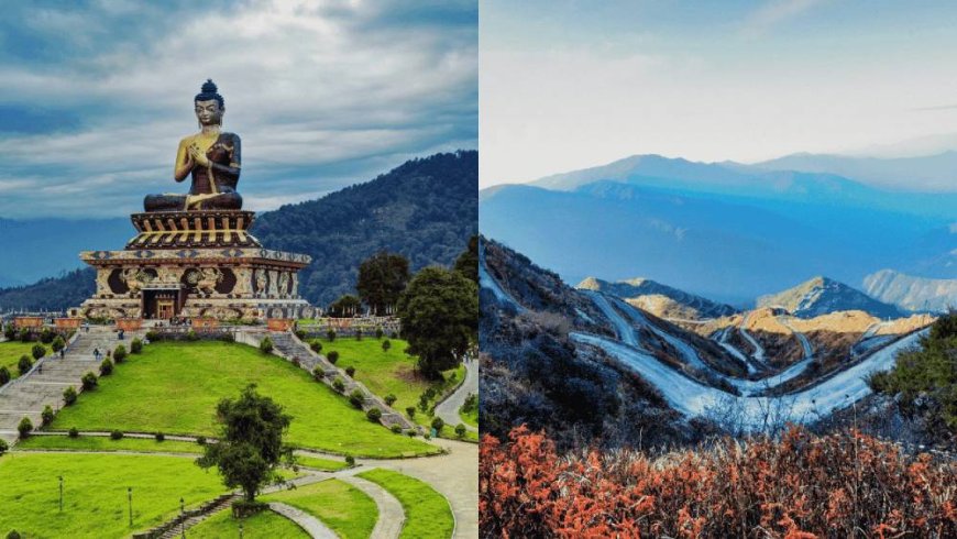 Darjeeling Unplugged: A Soulful Himalayan Retreat