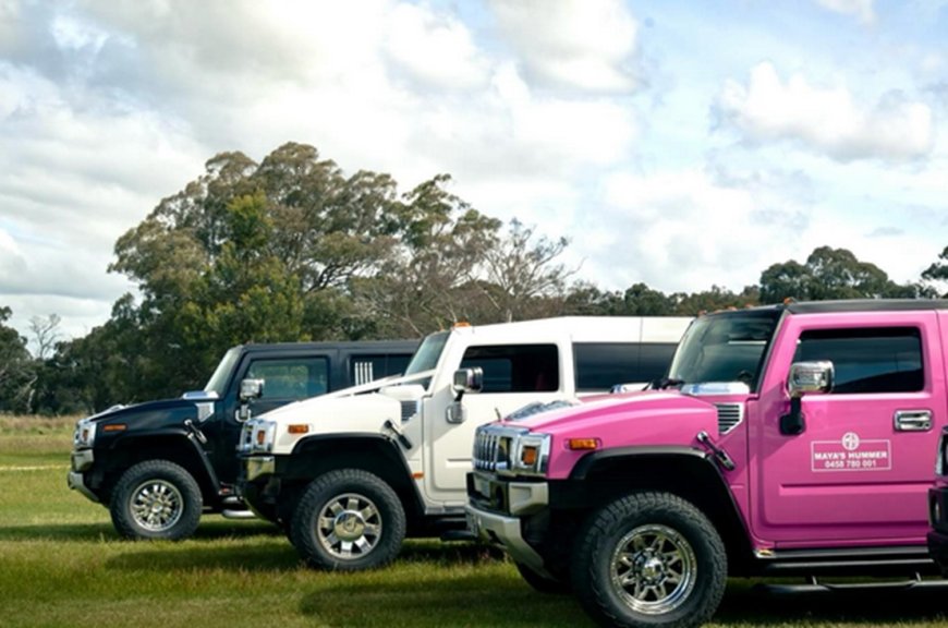 Pink Limo Hire Melbourne: What to Expect Inside a Luxury Ride