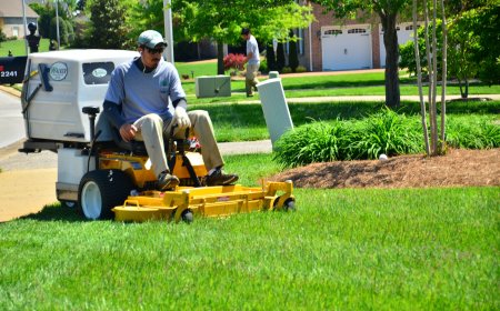 Lawn Treatment Forest Park GA Your Guide to Healthier, Greener Lawns