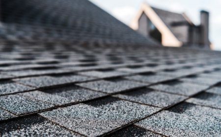 Balanced Roofing Systems: Combining Ventilation and Skylight Maintenance