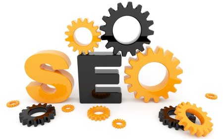 Affordable SEO Packages for Small Business Growth