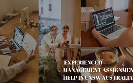 Experienced Management Assignment Help in UNSW Australia