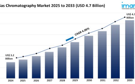 Gas Chromatography Market Share, Growth & Trends Report 2025-2033