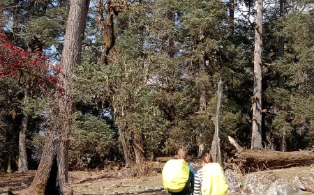 How to Trek the Annapurna Circuit in Winter: Snow Trekking Advice