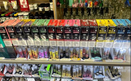 Your Ultimate Guide to Finding the Best Vape Shop Torrance Offers