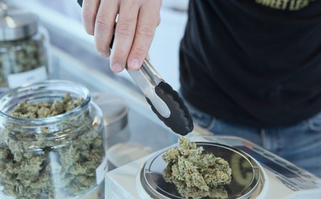 Top Rated Dispensary Near Me: The Ultimate Guide to Finding Premium Cannabis