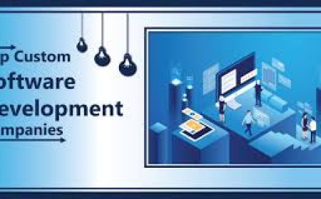 Custom Software Development Pricing: A Comprehensive Guide for Businesses