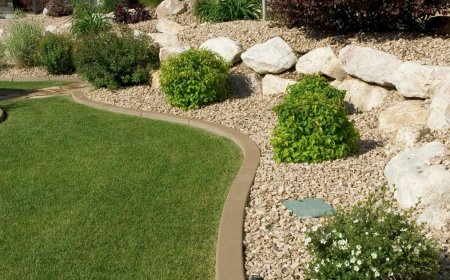 How to Get the Most Out of Your Outdoor Space in South Auckland