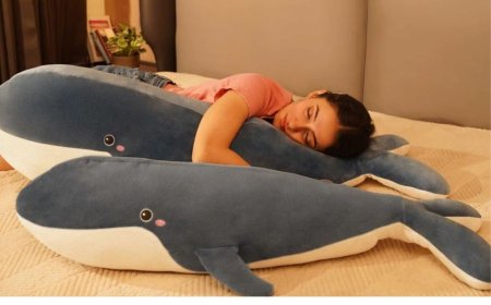 Eroloc - Cuddle Pillows &amp; Comfy Cushies | Home Decor Cushions