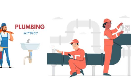 Plumbers Phoenix: Your Go-To Plumbing Experts in Arizona