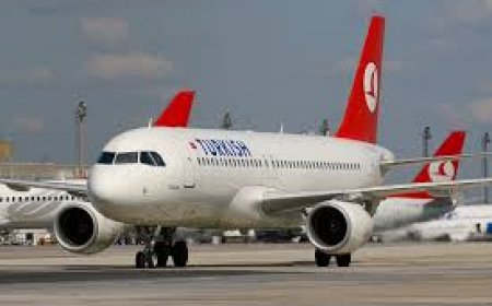 Turkish Airlines Amman Office in Jordan