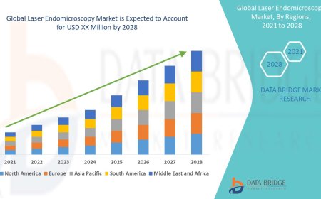 Precision Diagnostics Push Laser Endomicroscopy Market to New Heights