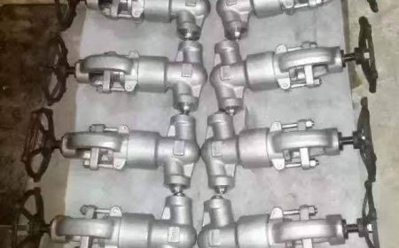 Bellow Seal Globe Valve Manufacturer in India