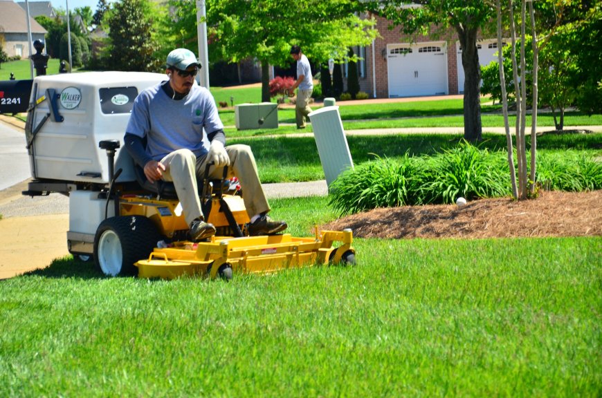 Lawn Treatment Forest Park GA Your Guide to Healthier, Greener Lawns