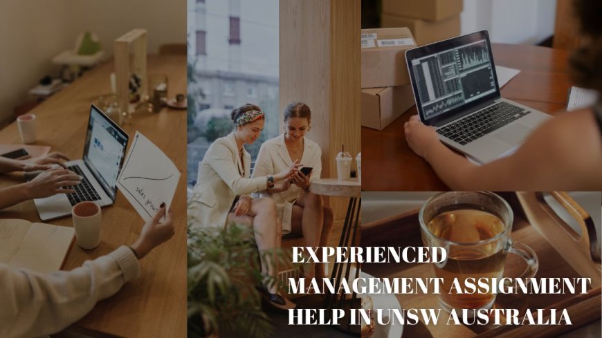 Experienced Management Assignment Help in UNSW Australia