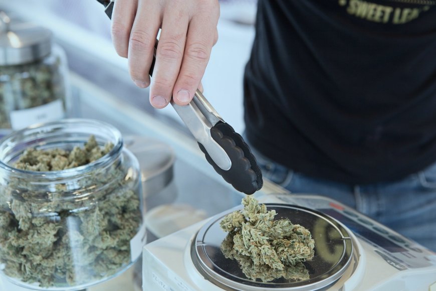 Top Rated Dispensary Near Me: The Ultimate Guide to Finding Premium Cannabis