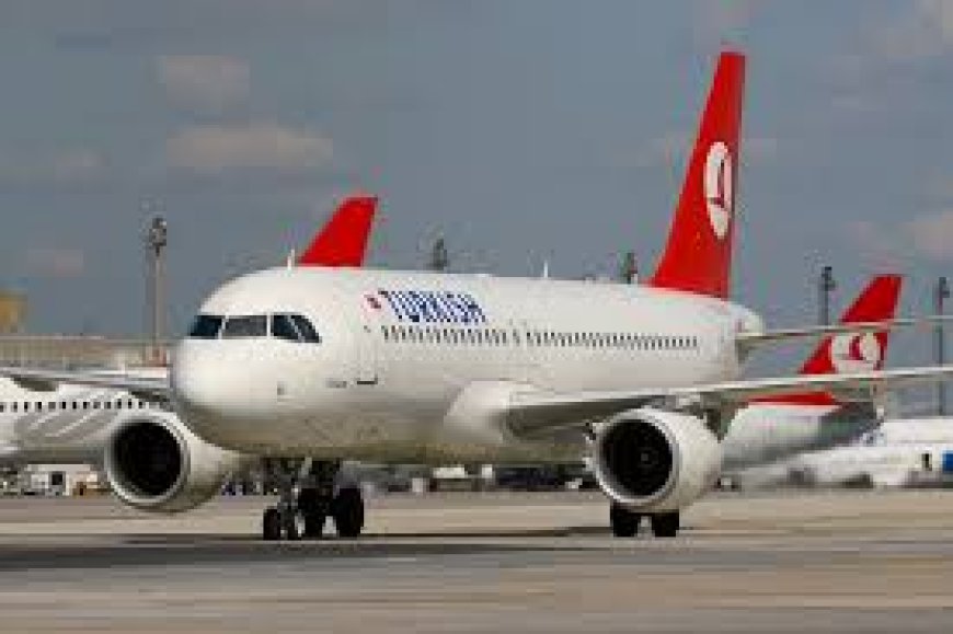 Turkish Airlines Amman Office in Jordan