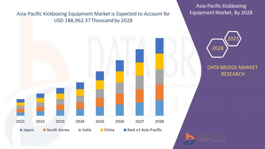 Asia-Pacific Kickboxing Equipment Market Thrives with Rising Interest in Combat Sports