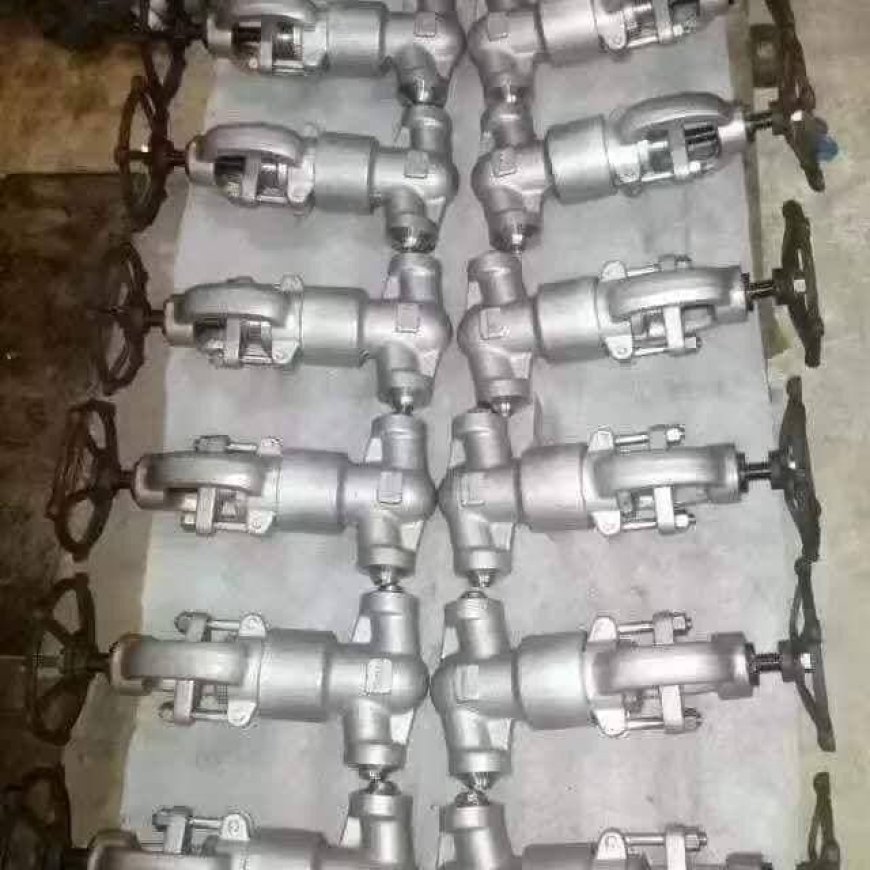 Bellow Seal Globe Valve Manufacturer in India